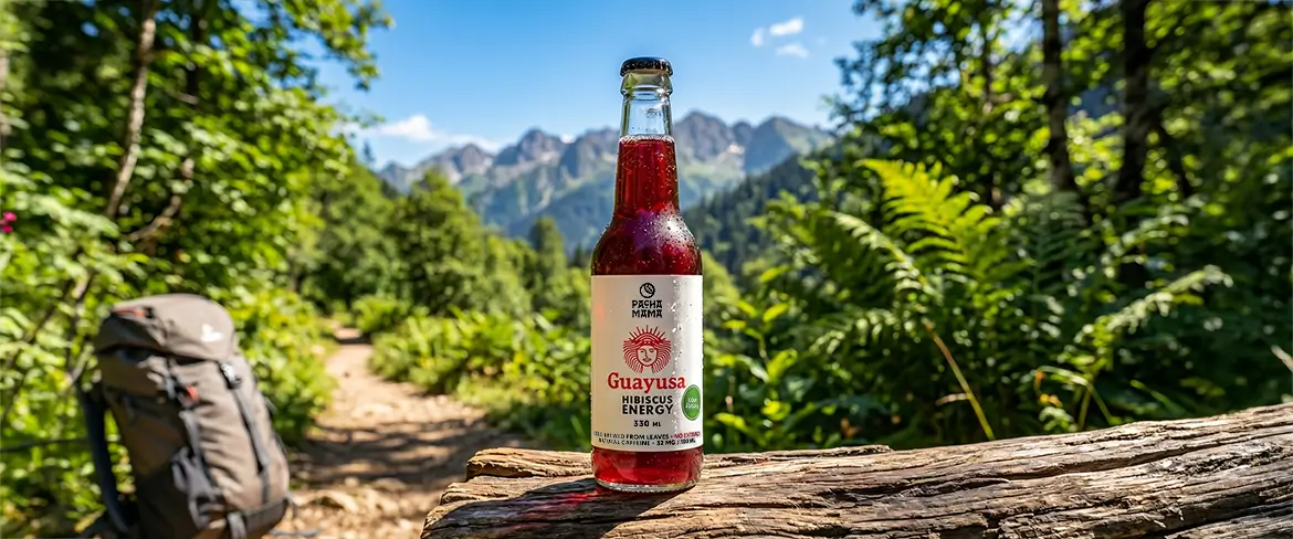 Natural guayusa drink on a mountain trail – Guayusa Pachamama for travel and outdoor activities.