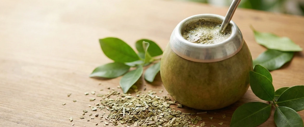 Yerba mate – polyphenols – infusion rich in phenolic acids and flavonoids