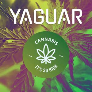 Yaguar Cannabis. New yerba mate tea with hemp now available!