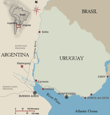 Argentina and Uruguay. Two countries, two different approaches to yerba mate