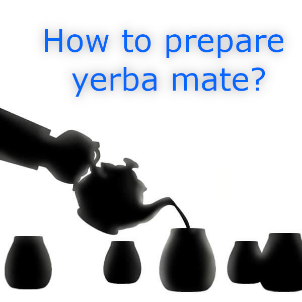 Brewing yerba mate tea. A beginner's guide