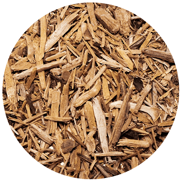 Mary Rose Muira Puama Bark 50g Tea Ingredients MateMundo.co.uk