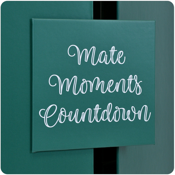 Advent Calendar – yerba mate and accessories – Verde Mate and other brands