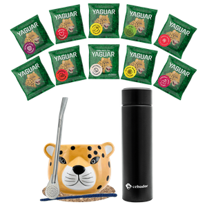 Yerba Mate starter set 500g Mate Gourd 10x50g thermos