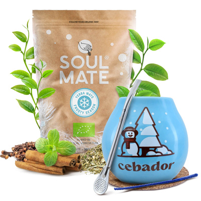 Yerba Mate Winter Starter Set Soul Mate Frosty 500g