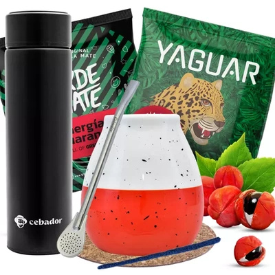 Yerba Mate starter kit THERMOS Mate Gourd 2x50g