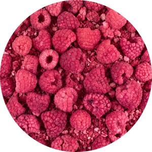 FiloLilo – Freeze-dried raspberries 100g