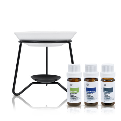 Aromatherapy Set: natural essential oils + oil burner