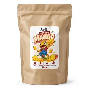 FiloLilo – Freeze-dried mango slices 100g
