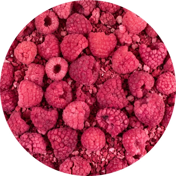 FiloLilo – Freeze-dried raspberries 20g