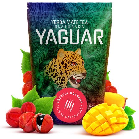 Yerba Mate Tea Christmas Gift Set – Yaguar Energia Guarana 500g + Accessories + Gift Box