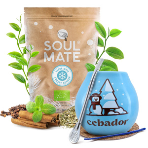 Yerba Mate Winter Starter Set Soul Mate Frosty 500g