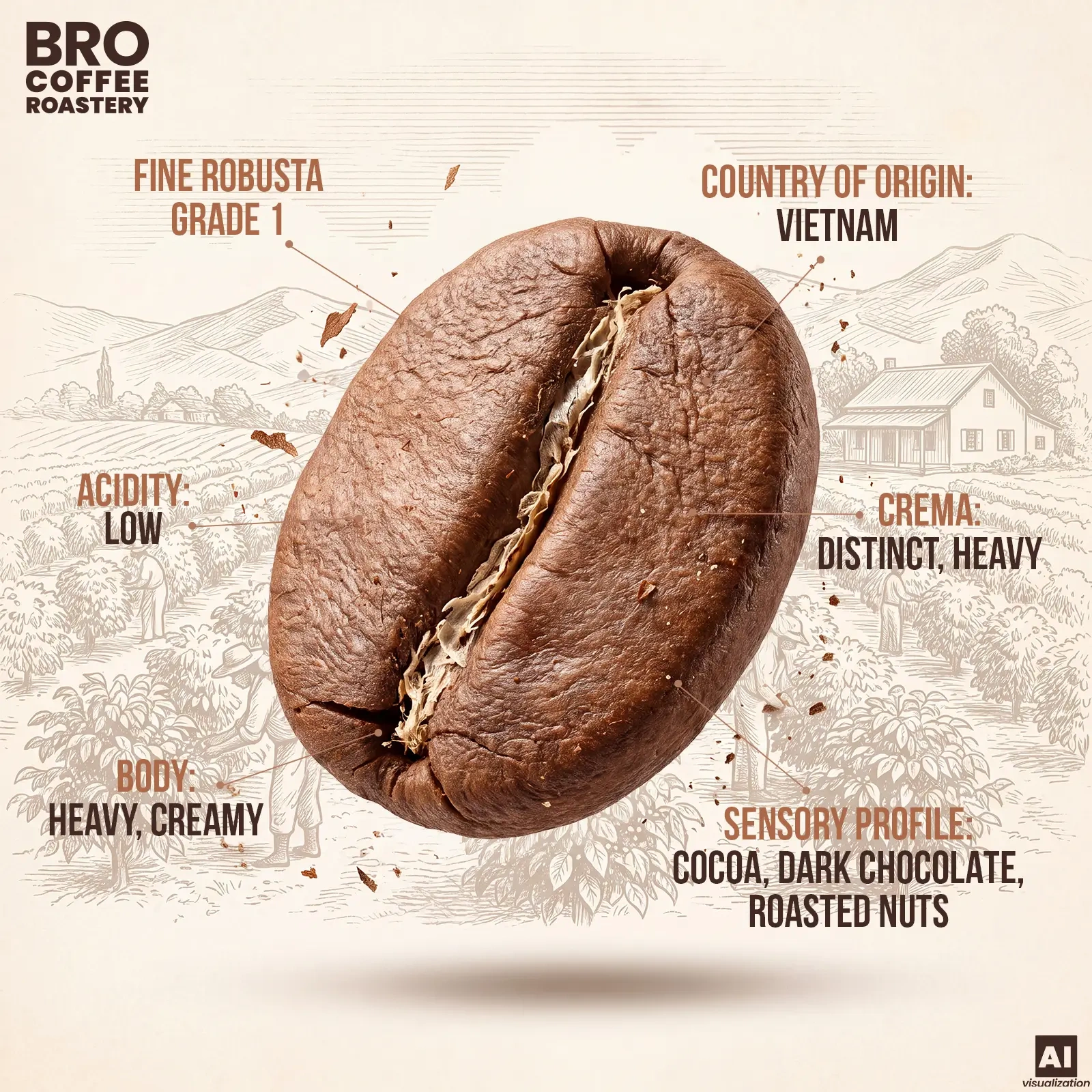 Robusta beans - Bro Coffee Roastery Pure Crema