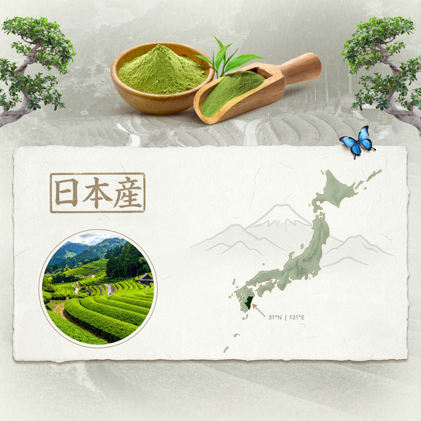 Japanese Matcha Tenno Green Tea (BIO) Ceremonial 30g