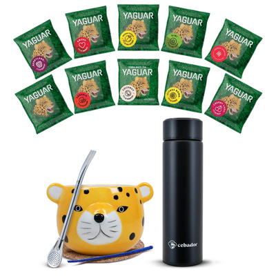 Yerba Mate starter set 500g Mate Gourd 10x50g thermos