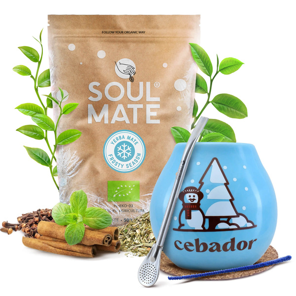 Yerba Mate Winter Starter Set Soul Mate Frosty 500g