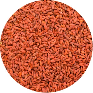 Vivarini - Goji Berries (dried) 1kg