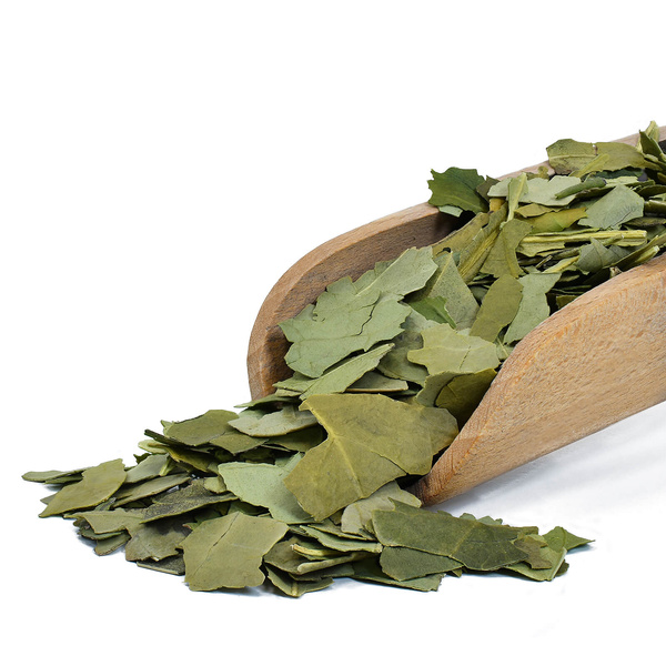 Gift Set Yerba Mate Verde Mate Premium