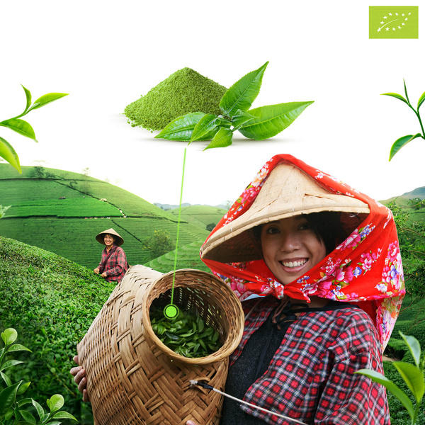 Mary Rose – Japanese Matcha Green Tea (BIO) Premium 30g