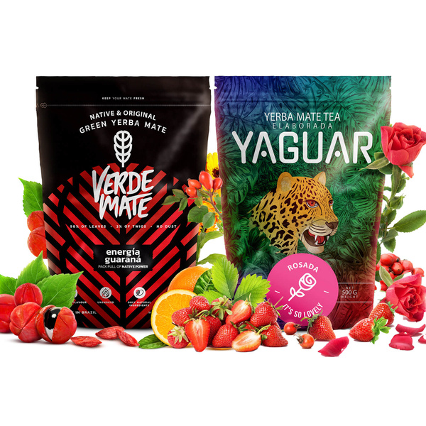 Trio Yerba Verde Mate on START for beginners