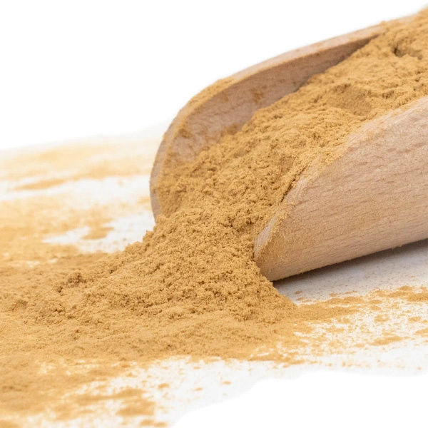 Magic Pwdr – Reishi 50g