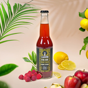 Guarani Drink – Cold Brew Yerba Mate Infusion – Sabor Citrus 330ml