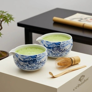 Ceremonial Matcha Tea Brewing Set: Japanese Organic Matcha 30g + Accessories