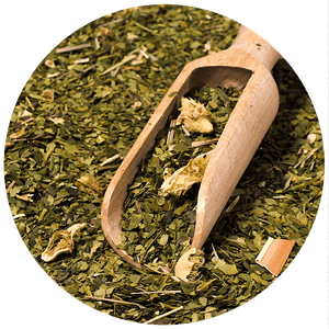 Yerba Mate Cactus Set