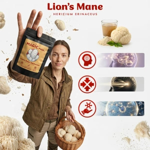 Magic Pwdr – Lion's Mane 50g