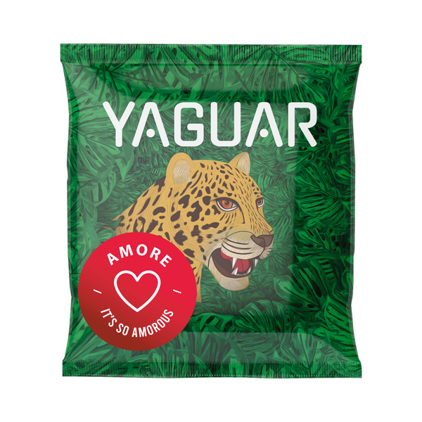 Yerba Mate Starter Set 10x50g 500g TermoMate + Bombilla
