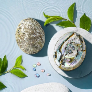 Esoteric Gift Set: Natural Incense + Accessories