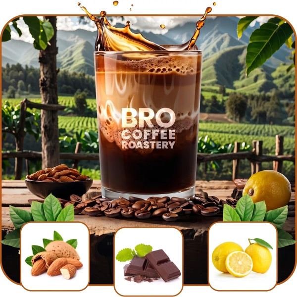 Set of Bro Coffee Roastery Brazil Samba + Brazil Cerrado 2x1kg (2kg)