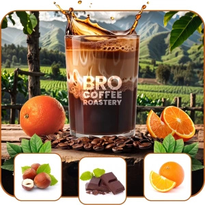Set of Bro Coffee Roastery Brazil Samba + Brazil Guaxupe + Brazil Cerrado 3x1kg (3kg)