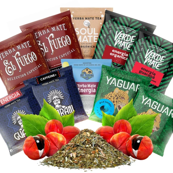 Yerba Mate BEST FOR START 10x50g MOST POWERFUL