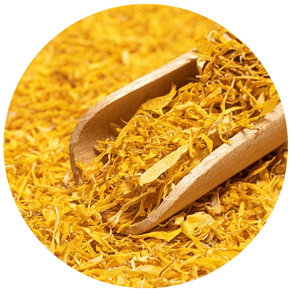 Mary Rose – dried marigold flowers