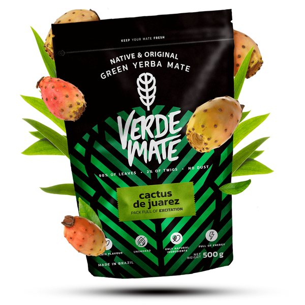 Yerba Mate Cactus Set