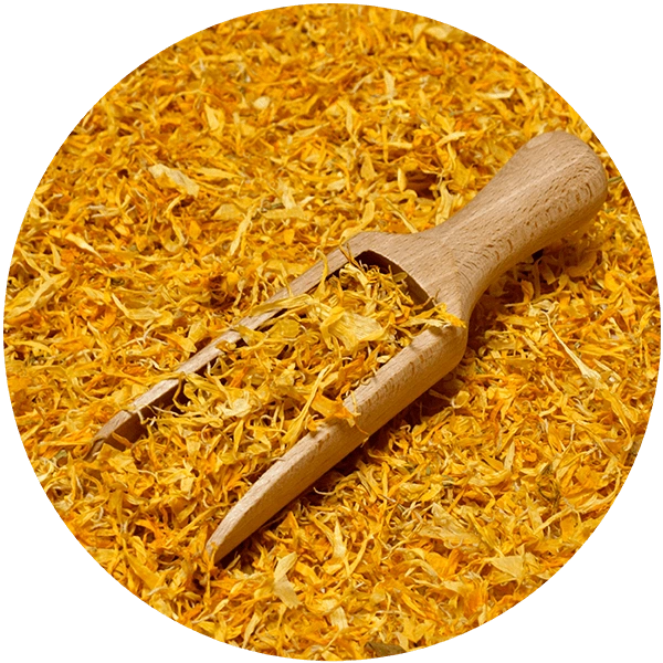 Mary Rose – dried marigold flowers