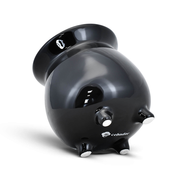 Starter Set Yerba Mate Verde Mate Pumpkin Spice 400g + Caldero Cauldron Mate Gourd