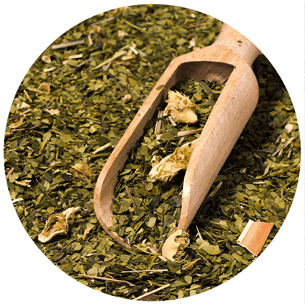 Yerba Mate Cactus Set