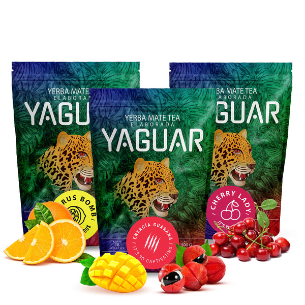 Trio yerba mate Yaguar starter set for beginners