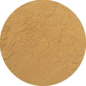 Magic Pwdr – Reishi 30g