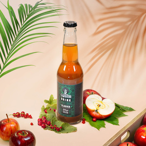 Guarani Drink – Cold Brew Yerba Mate Infusion – Clasica 330ml