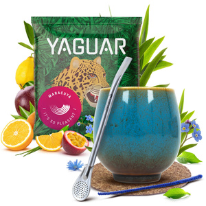 Yerba Mate set 50g Calabash + Bombilla